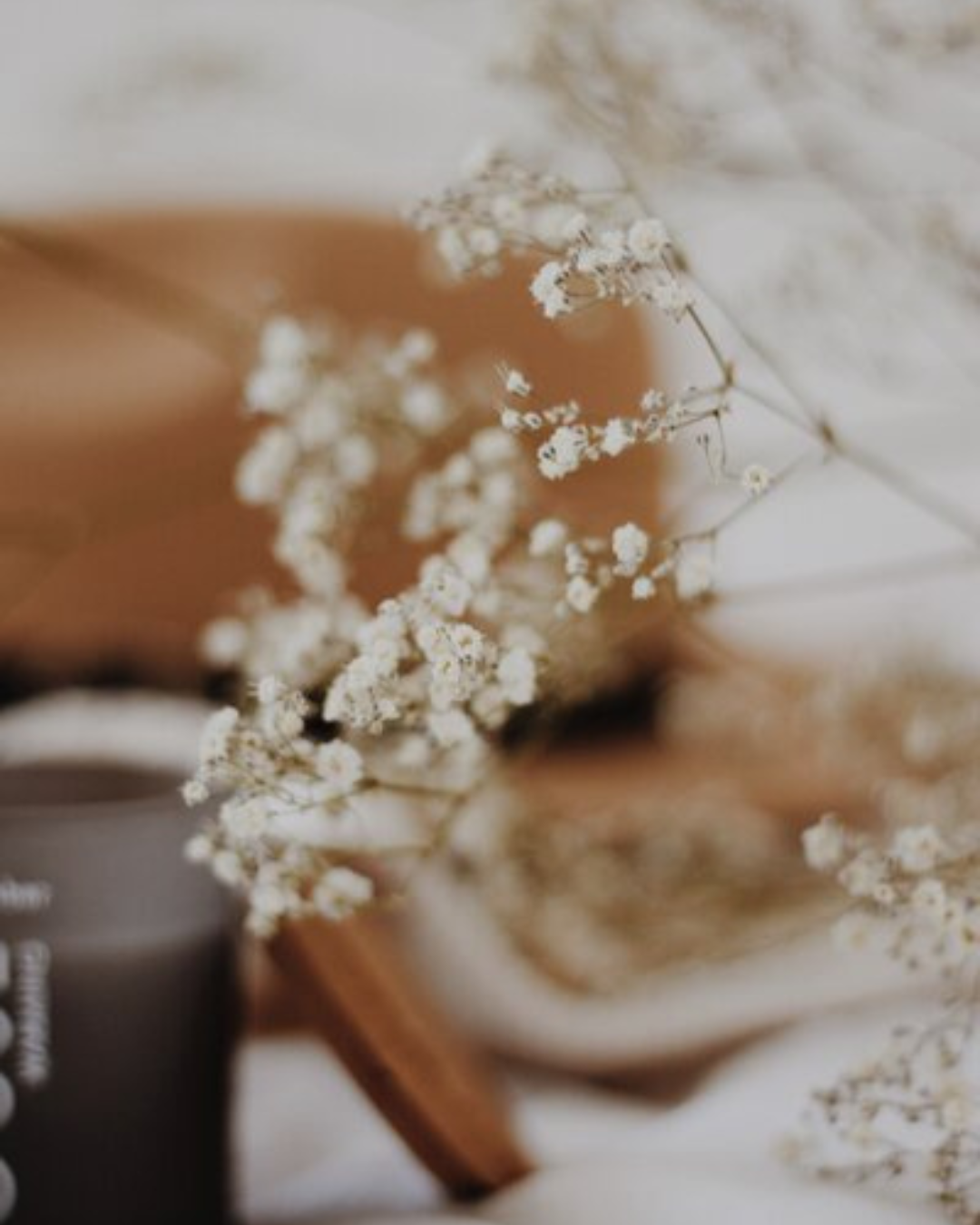 Soft-focus close-up of delicate white flowers with a blurred background featuring warm neutral tones, creating a peaceful and calming aesthetic.